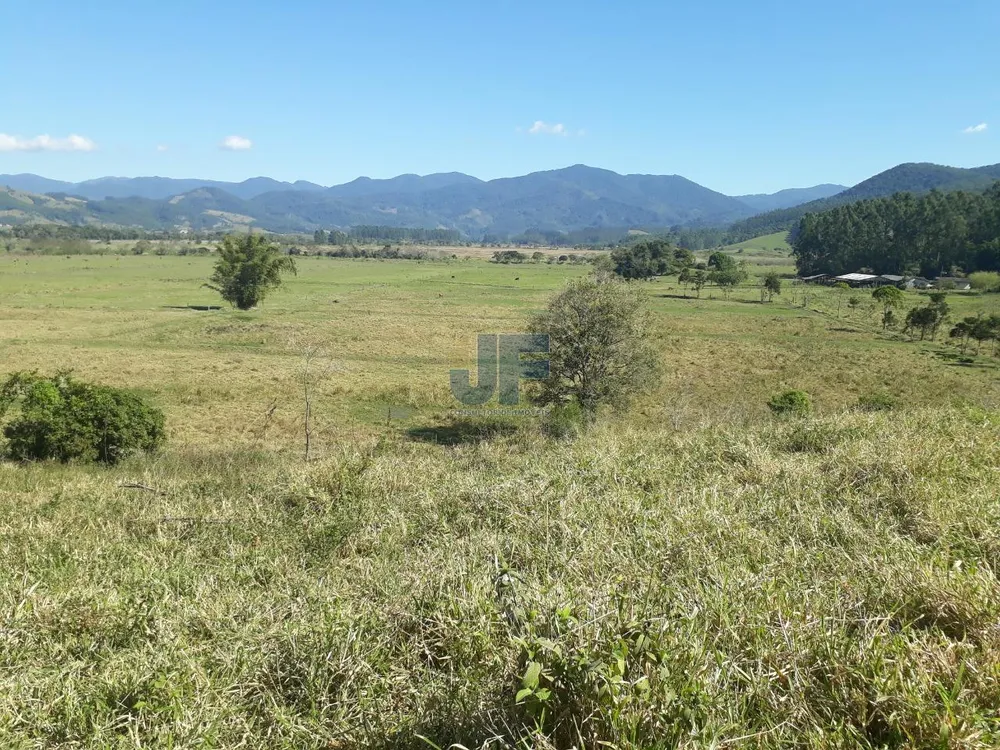 Fazenda, 207 hectares - Foto 6