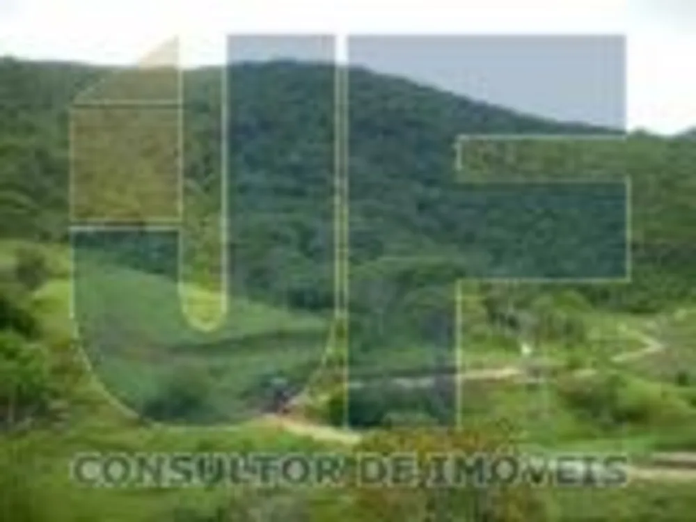 Fazenda, 207 hectares - Foto 8