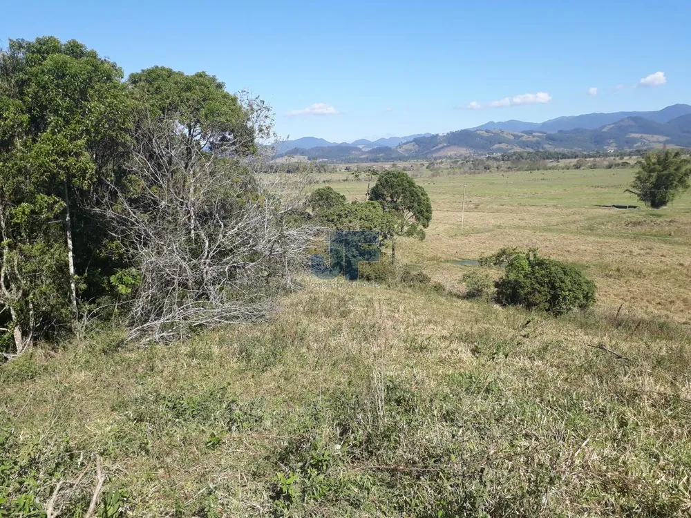 Fazenda, 207 hectares - Foto 3