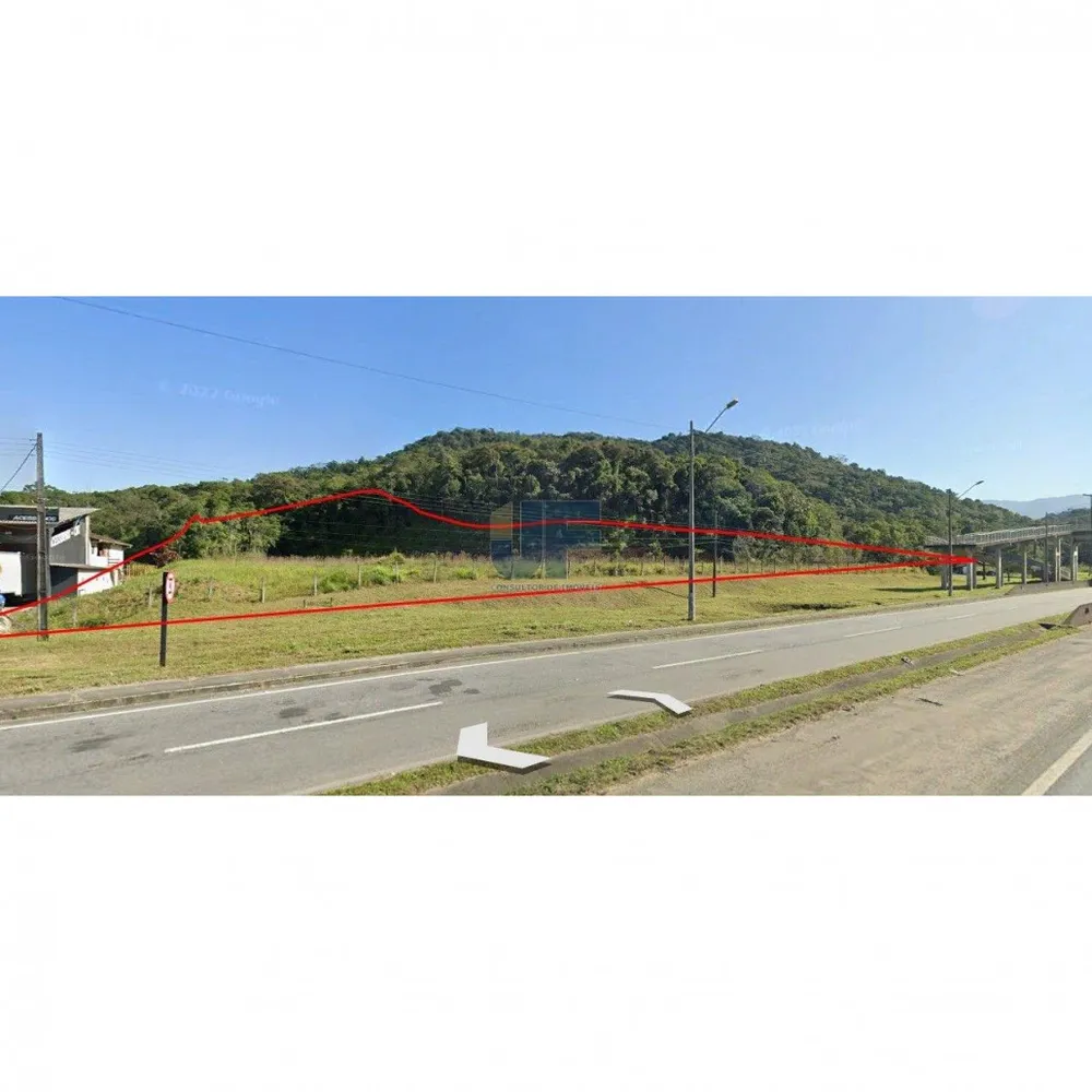 Terreno, 53533 hectares - Foto 4