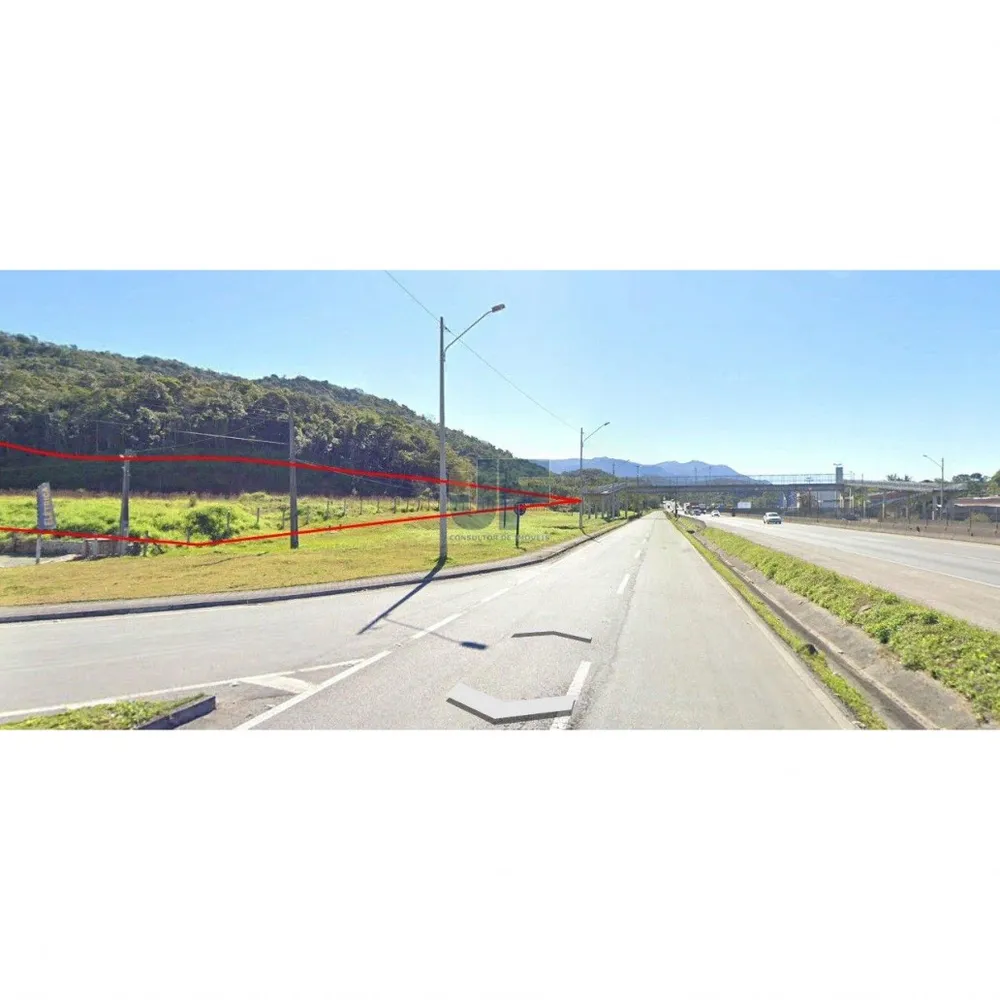 Terreno, 53533 hectares - Foto 6