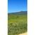 Terreno, 106 hectares - Foto 3