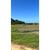 Terreno, 106 hectares - Foto 6