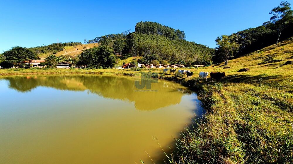 Sítio à venda com 12 quartos, 159000m² - Foto 5