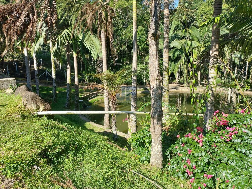 Sítio à venda com 2 quartos, 18000m² - Foto 16
