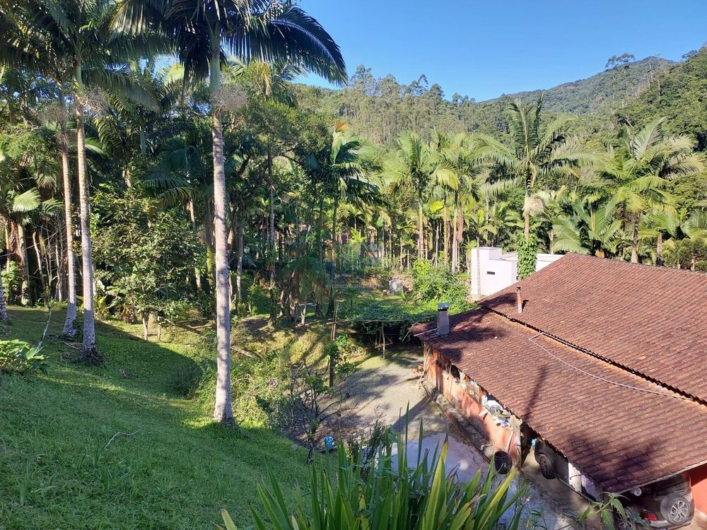 Sítio à venda com 2 quartos, 18000m² - Foto 11