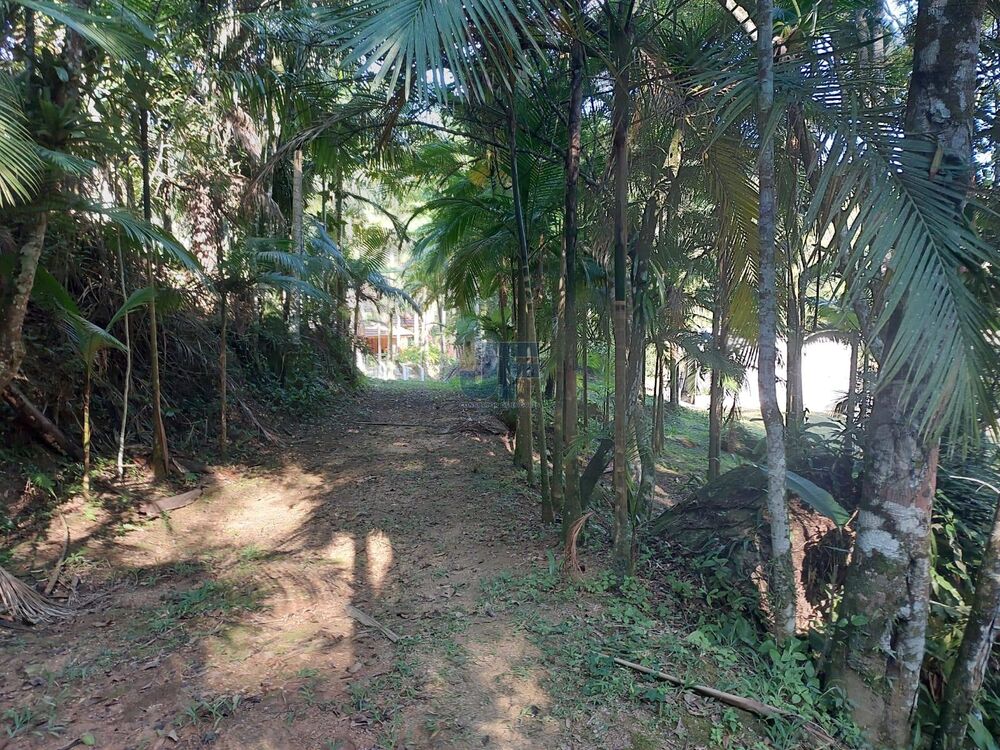 Sítio à venda com 2 quartos, 18000m² - Foto 10