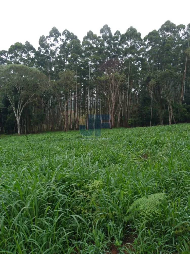 Fazenda, 50 hectares - Foto 3