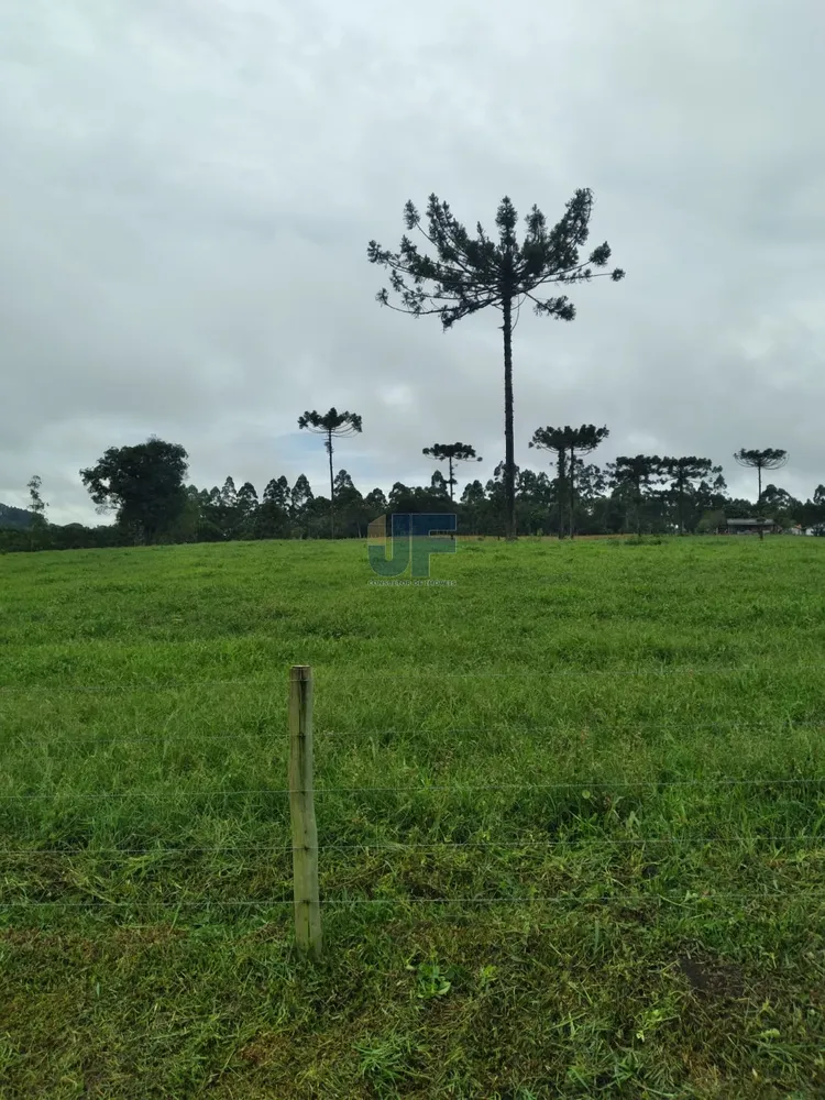 Fazenda, 50 hectares - Foto 1