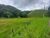 Terreno, 14 hectares - Foto 1