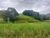 Terreno, 14 hectares - Foto 3