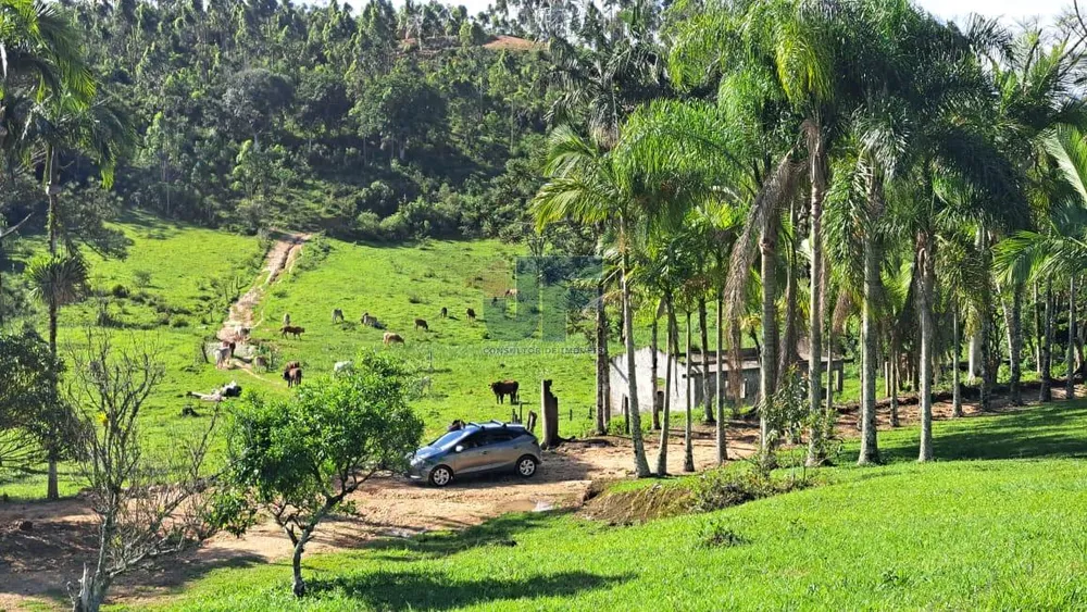 Terreno, 16 hectares - Foto 2