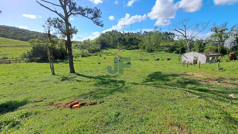 Terreno, 16 hectares - Foto 3