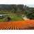 Sítio, 4 quartos, 3200 m² - Foto 1