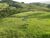 Fazenda, 64 hectares - Foto 2