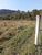 Sítio, 9 hectares - Foto 4