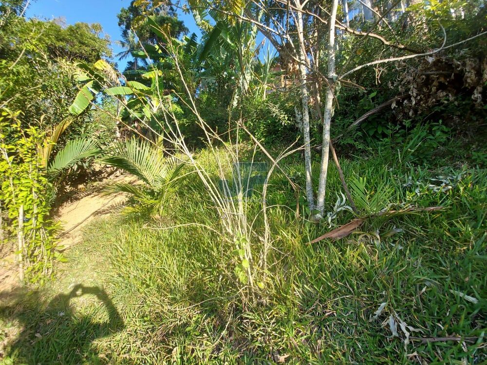 Terreno à venda com 2 quartos, 750m² - Foto 4