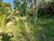 Terreno, 750 m² - Foto 4