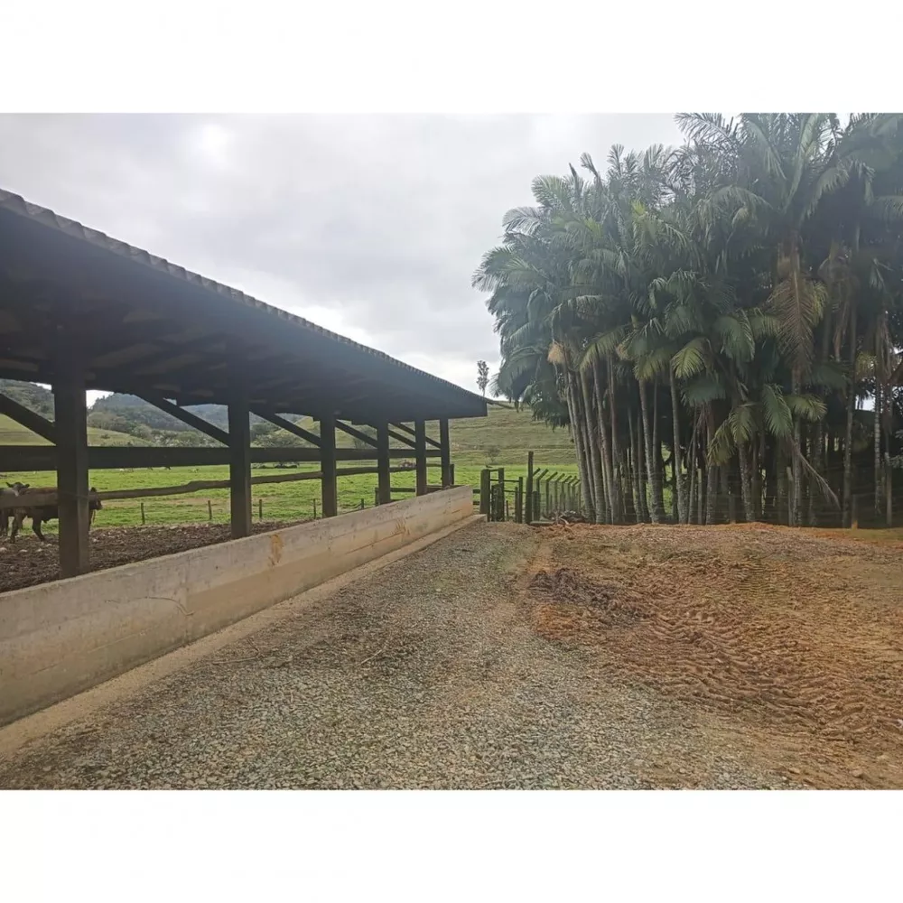 Fazenda à venda com 4 quartos, 1130000m² - Foto 12