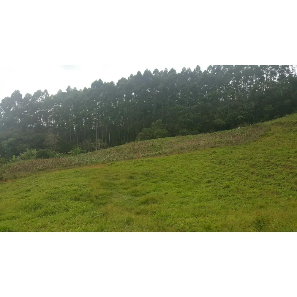 Terreno, 79 hectares - Foto 4