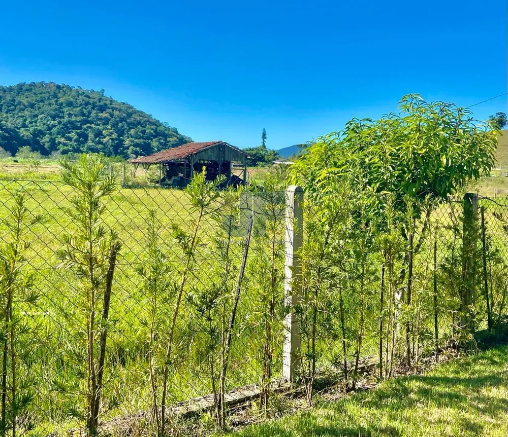 Sítio, 4 quartos, 3 hectares - Foto 6