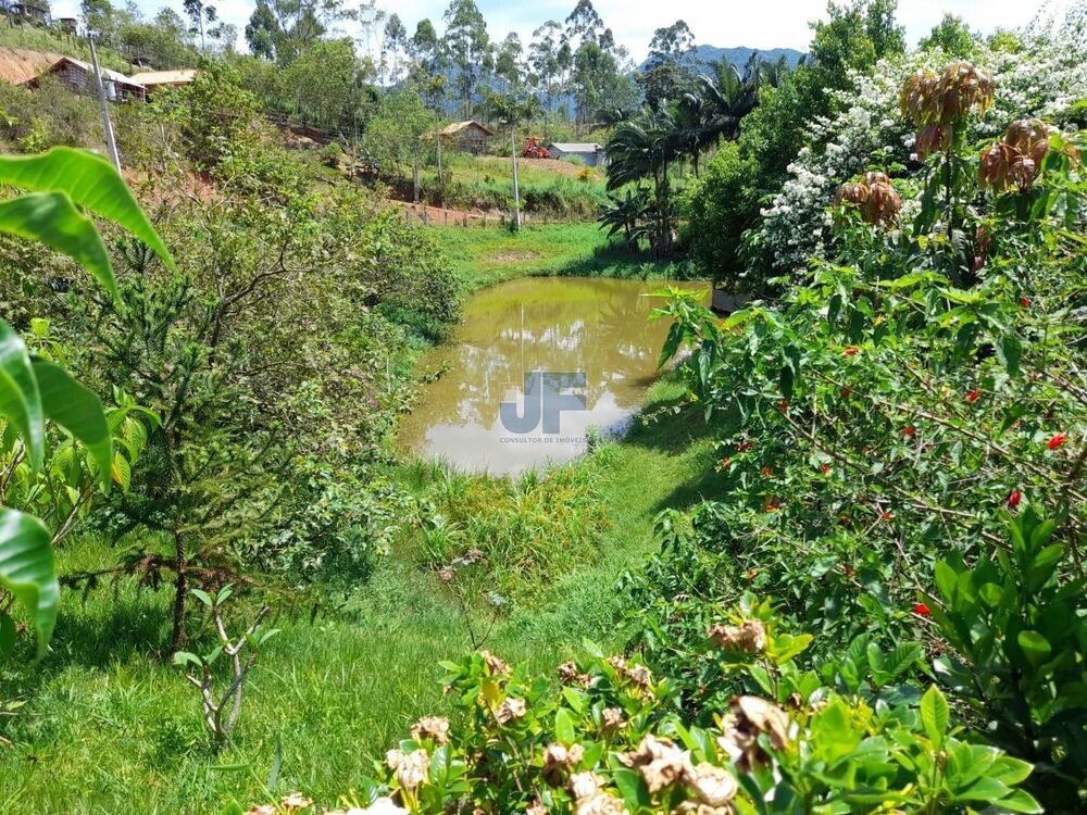 Sítio à venda com 2 quartos, 3500m² - Foto 3