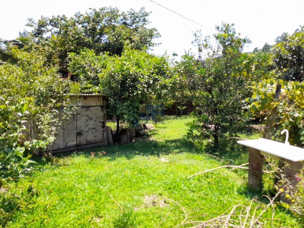 Sítio à venda com 2 quartos, 3500m² - Foto 4