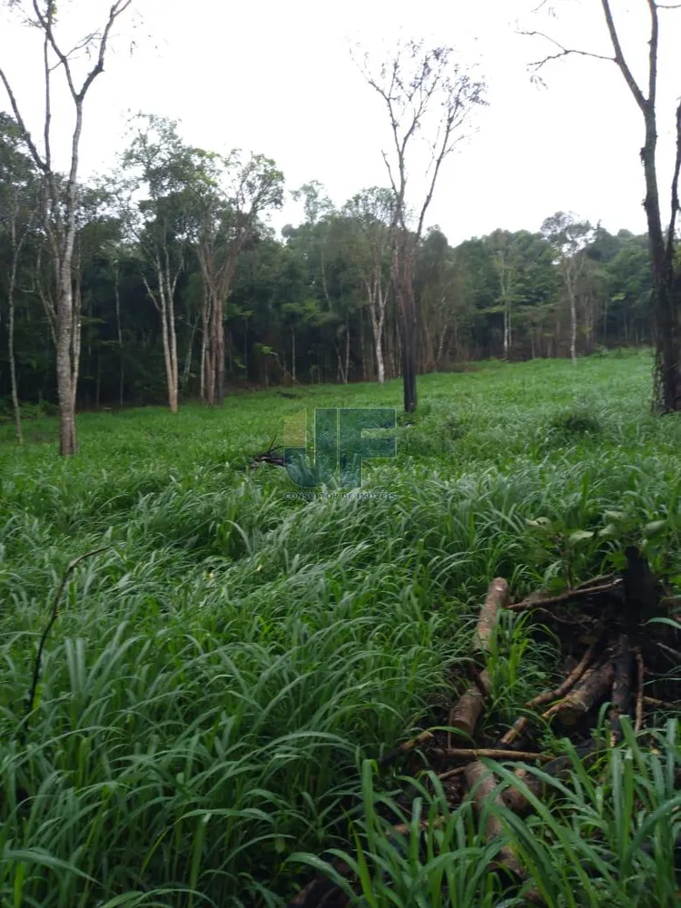 Fazenda, 50 hectares - Foto 3