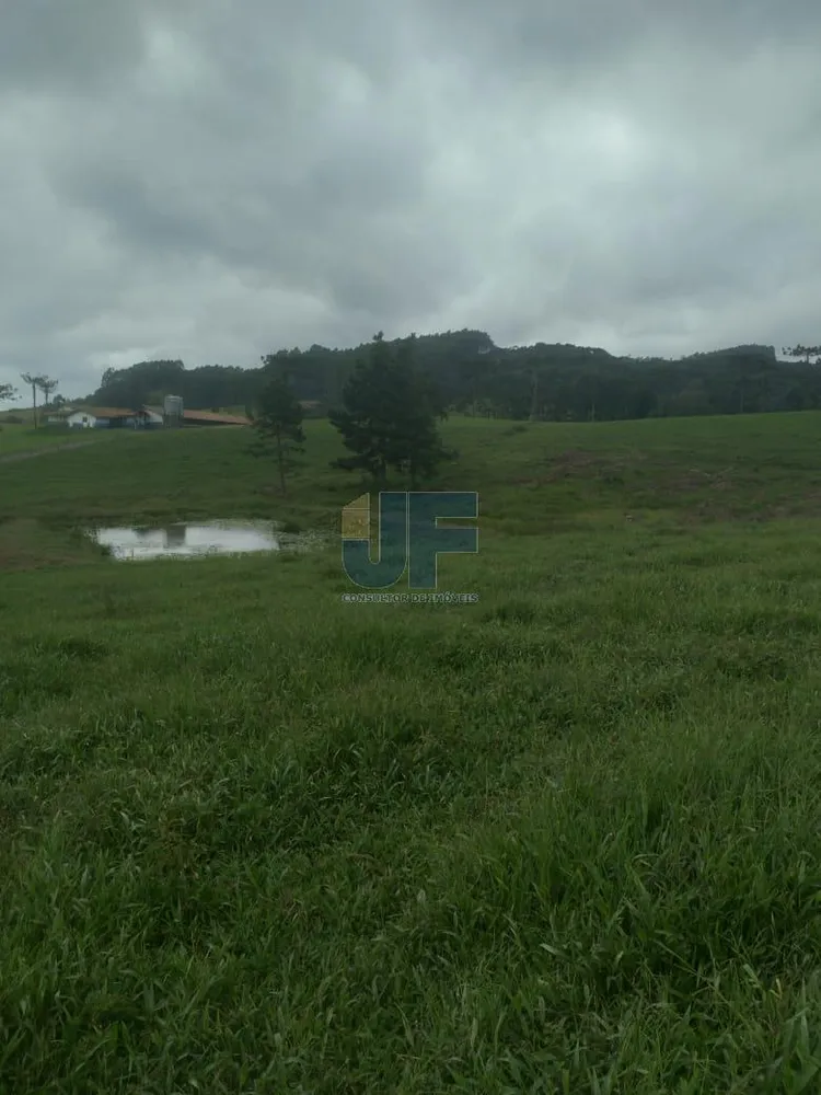 Fazenda, 50 hectares - Foto 7