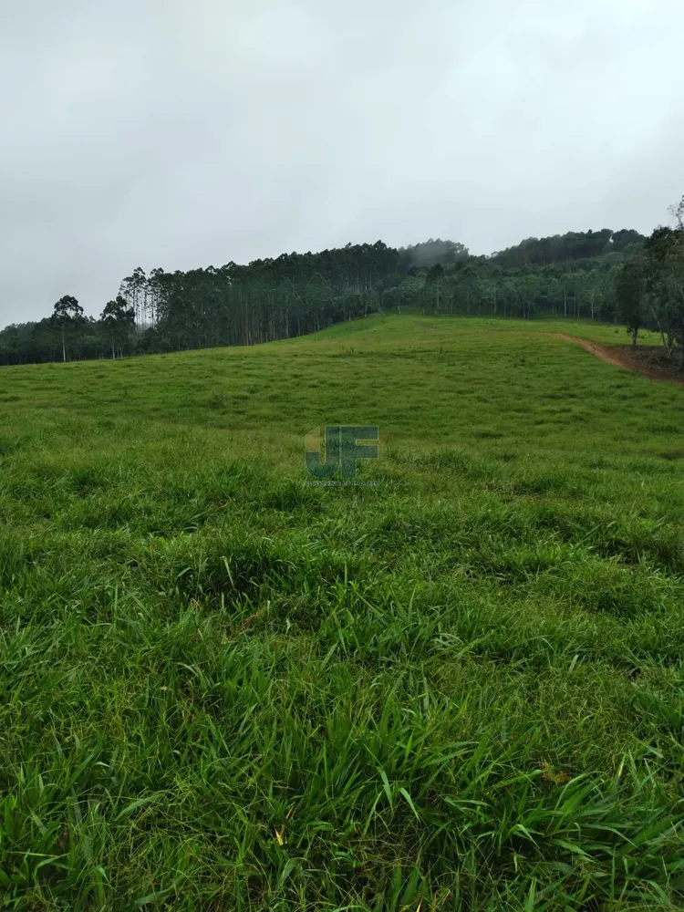 Fazenda, 50 hectares - Foto 11