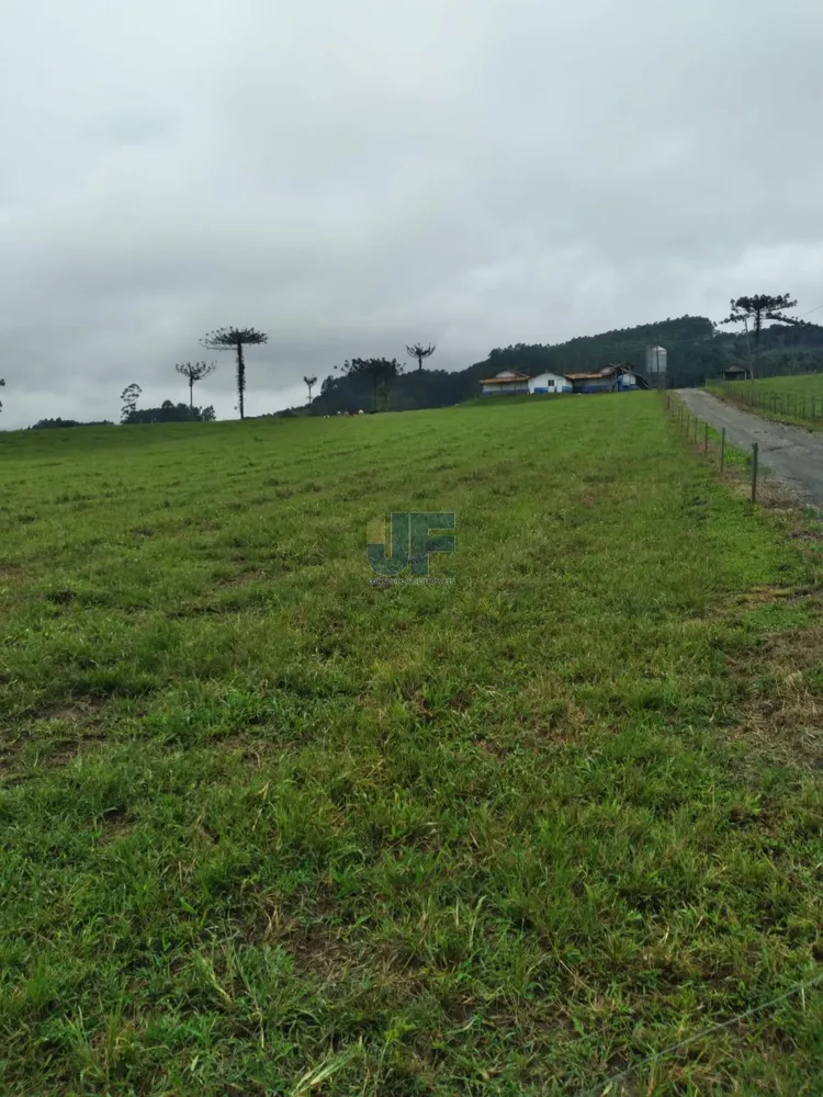 Fazenda, 50 hectares - Foto 4