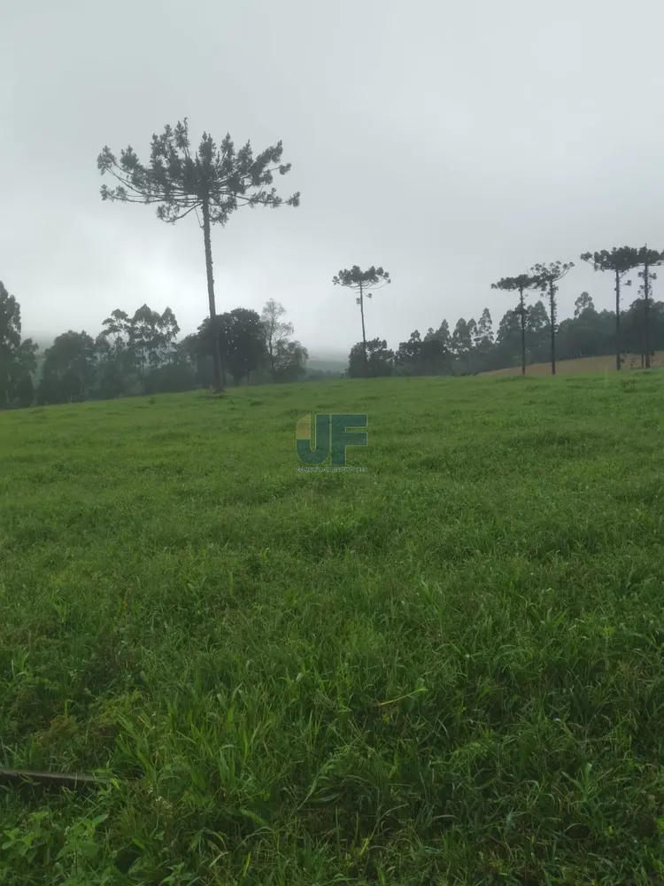 Fazenda, 50 hectares - Foto 2