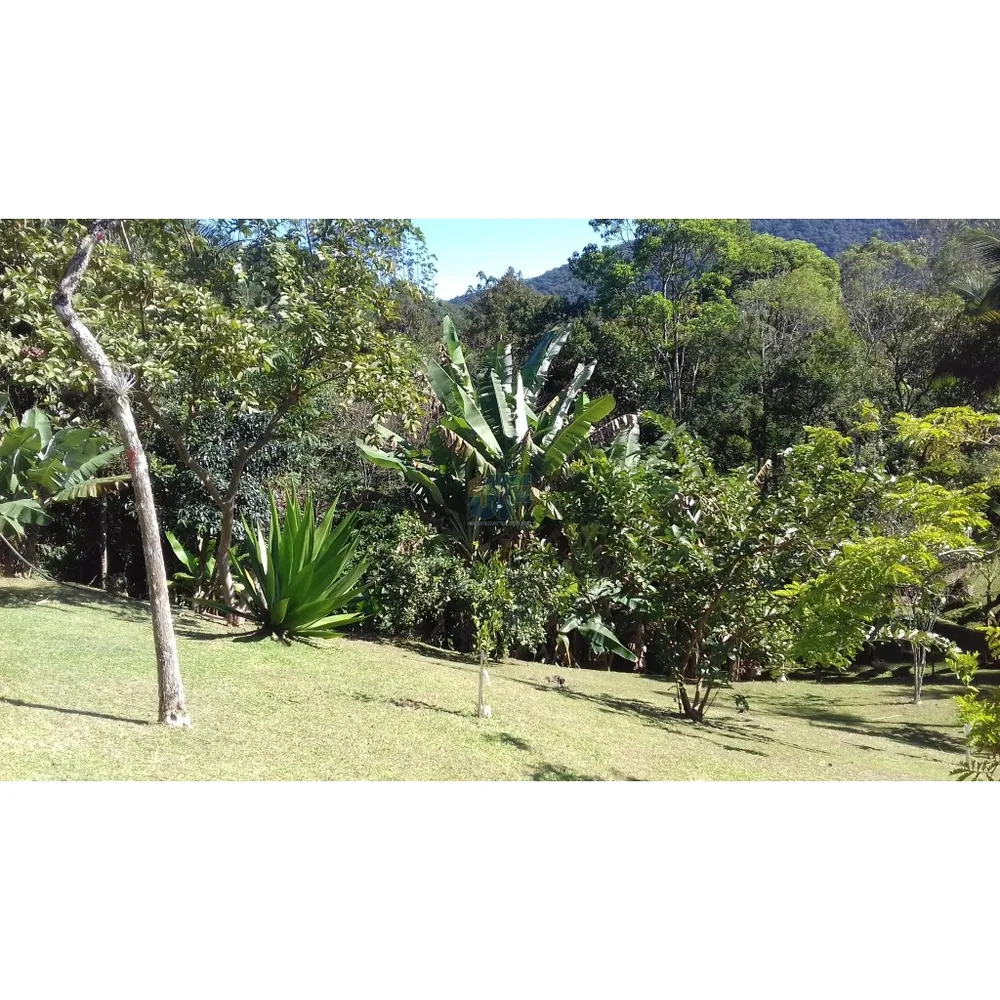Sítio, 4 quartos, 9 hectares - Foto 4