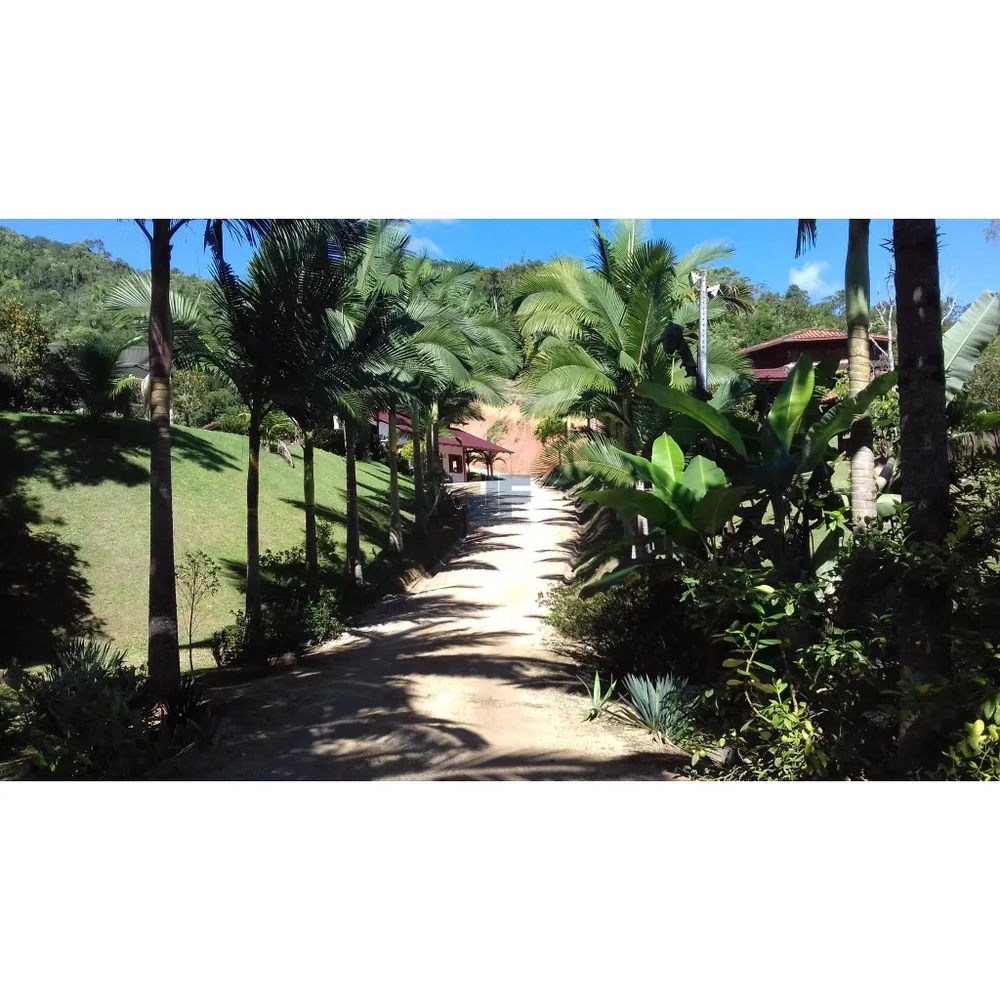 Sítio, 4 quartos, 9 hectares - Foto 12