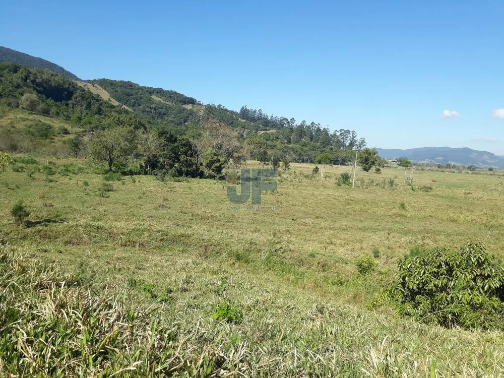 Fazenda, 207 hectares - Foto 4