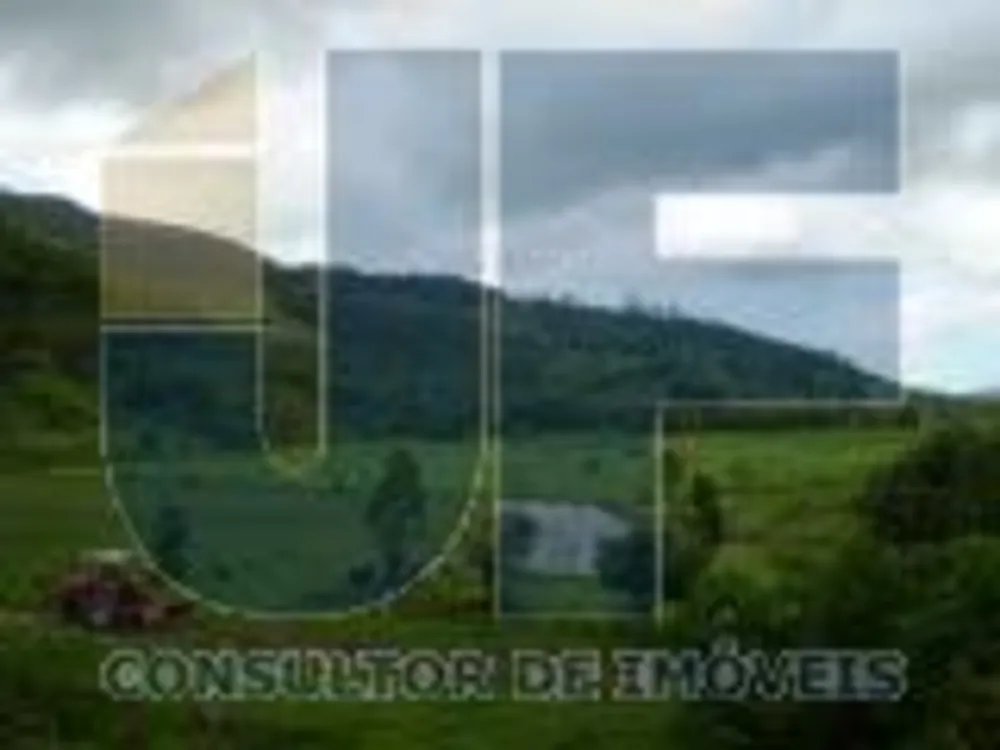 Fazenda, 207 hectares - Foto 9