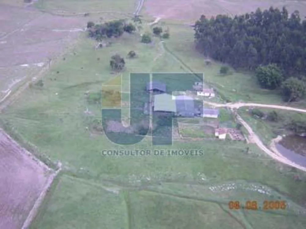 Fazenda, 207 hectares - Foto 1