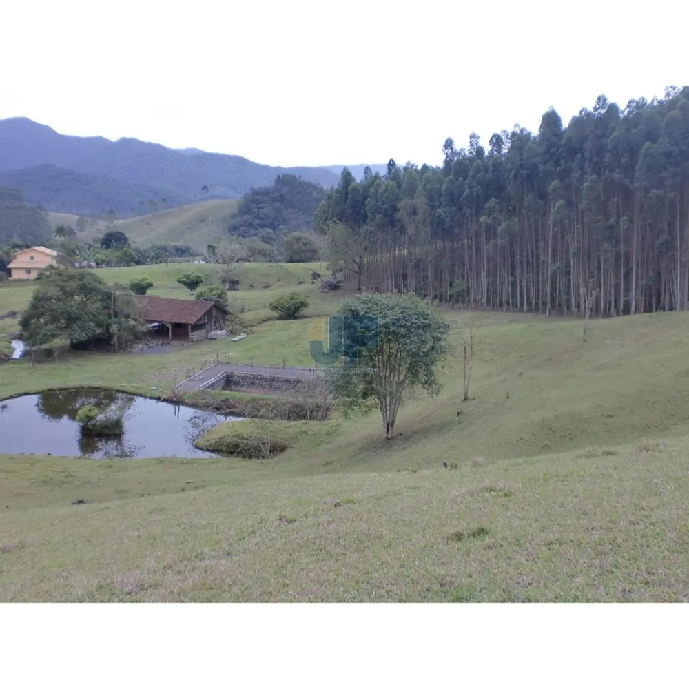 Sítio, 3 quartos, 17 hectares - Foto 1