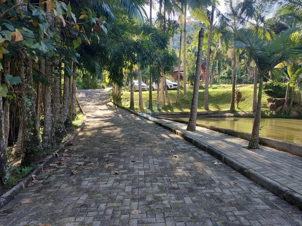 Sítio, 2 quartos, 18000 m² - Foto 1