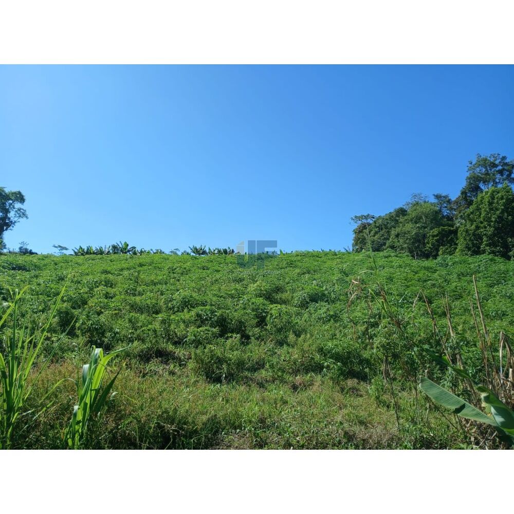 Sítio à venda, 42000m² - Foto 17