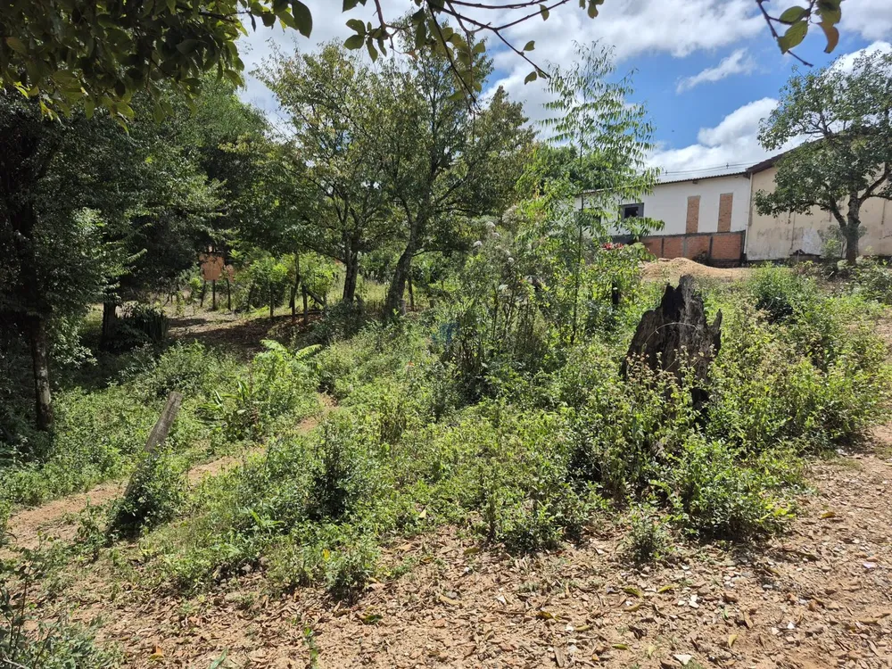 Chácara, 6137 m² - Foto 1