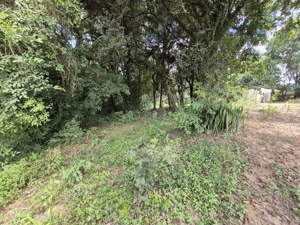 Chácara, 6137 m² - Foto 5