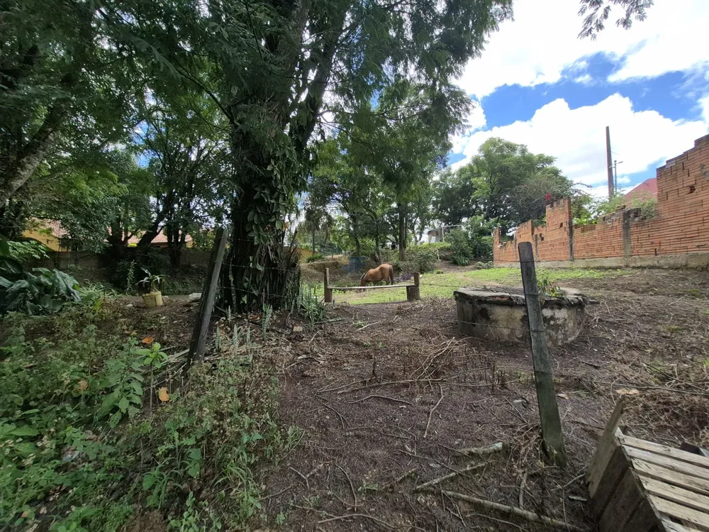 Chácara, 6137 m² - Foto 7