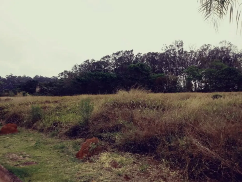 Terreno, 1 hectares - Foto 1