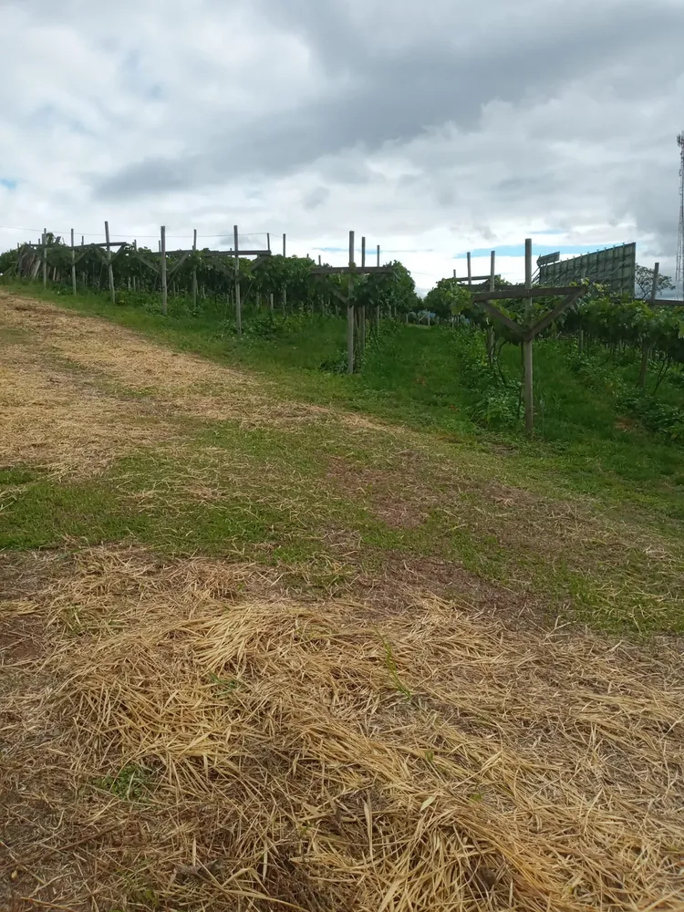 Terreno, 1 hectares - Foto 2