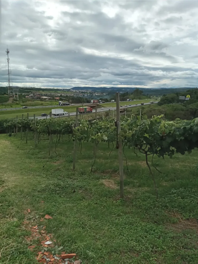 Terreno, 1 hectares - Foto 1