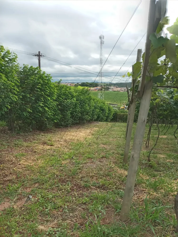 Terreno, 1 hectares - Foto 4