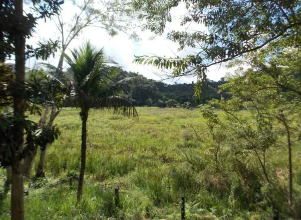 Sítio, 15 hectares - Foto 4