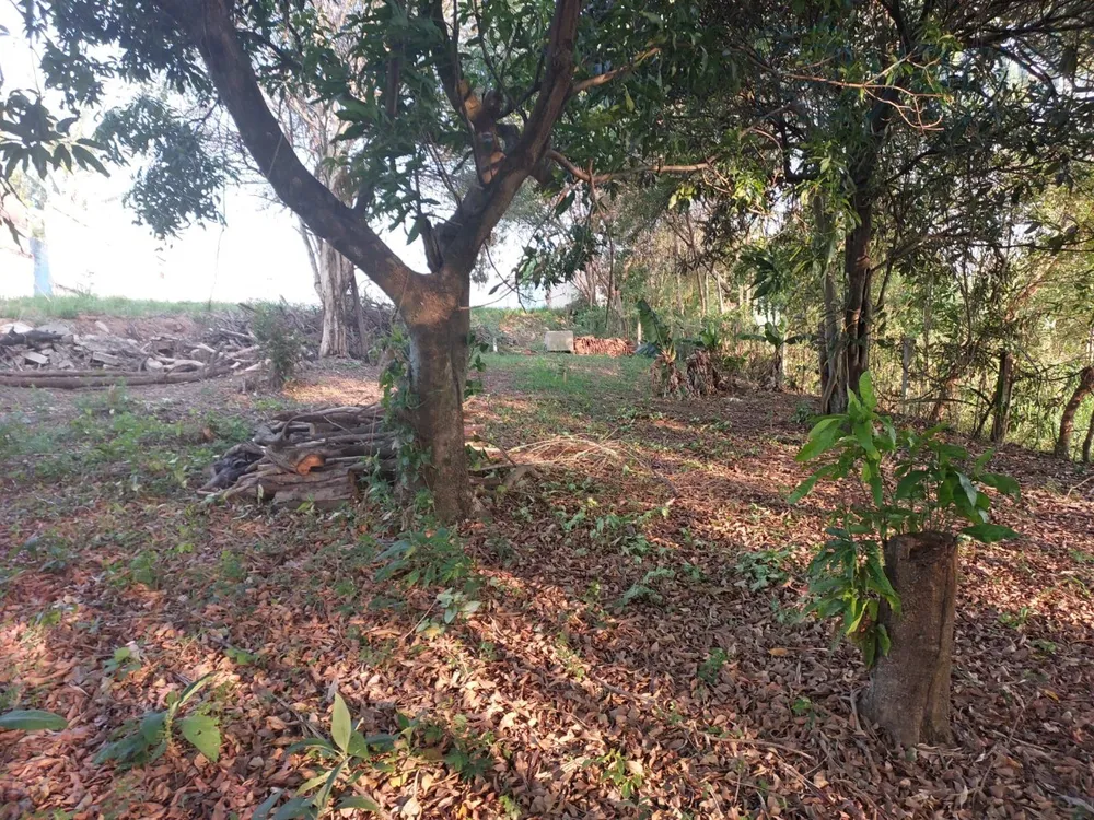 Terreno, 1510 m² - Foto 6
