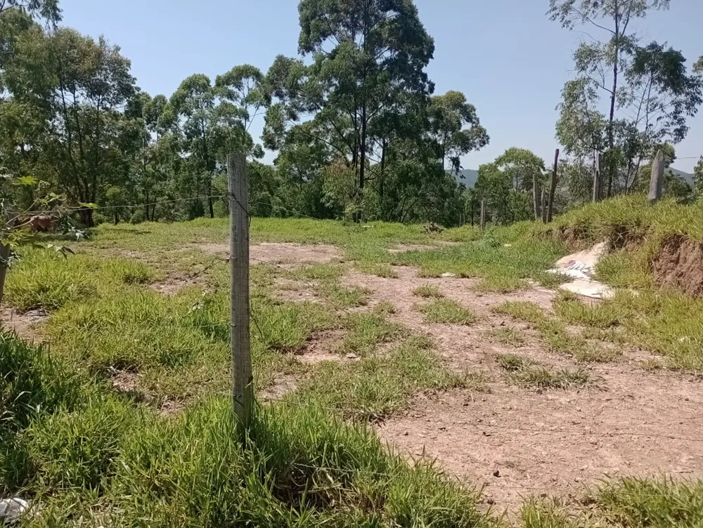 Terreno, 4500 m² - Foto 3
